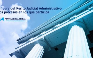 La figura del Perito Judicial Administrativo - Perito Judicial Oficial