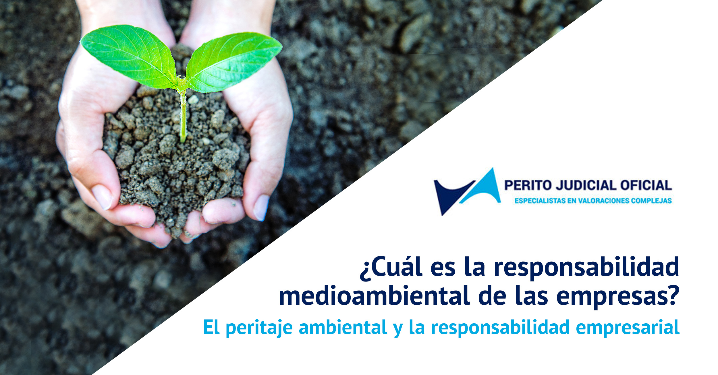 El peritaje ambiental y la responsabilidad empresarial - Perito Judicial Oficial - Peritos España - Madrid